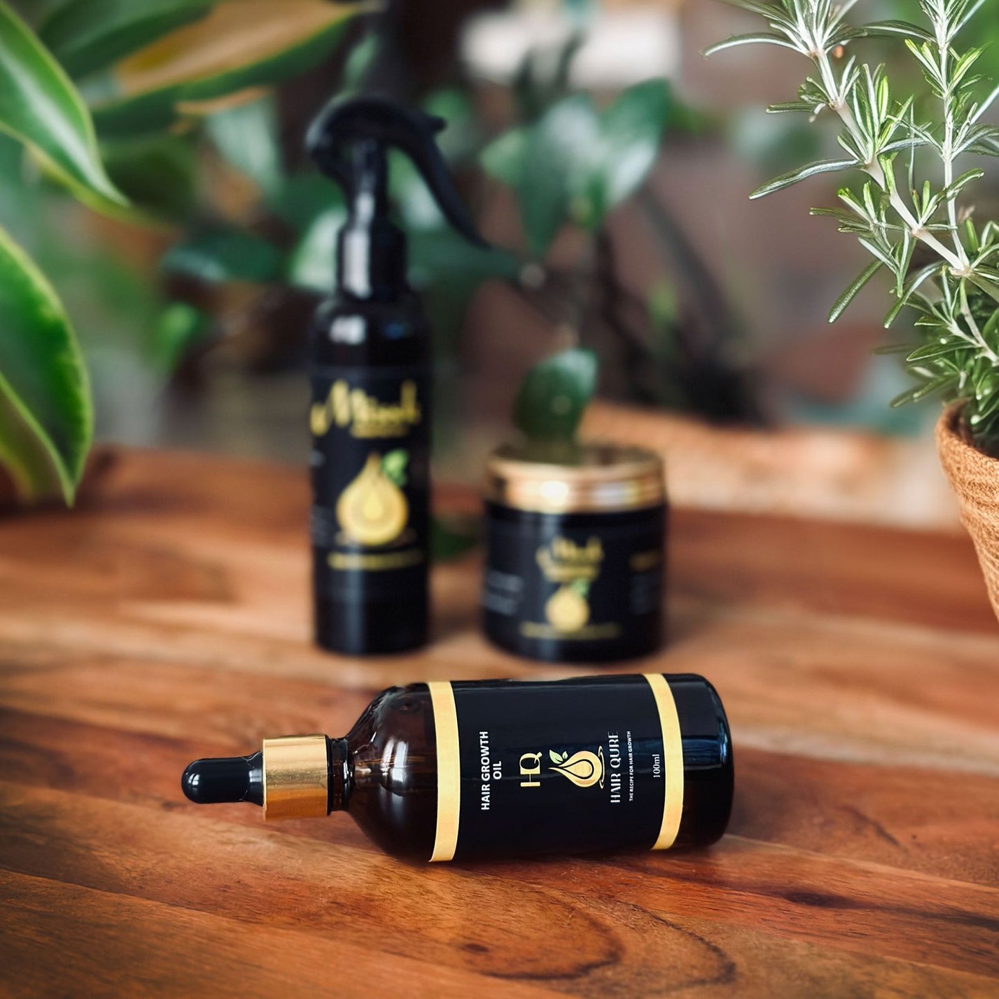 Hair Qure oil